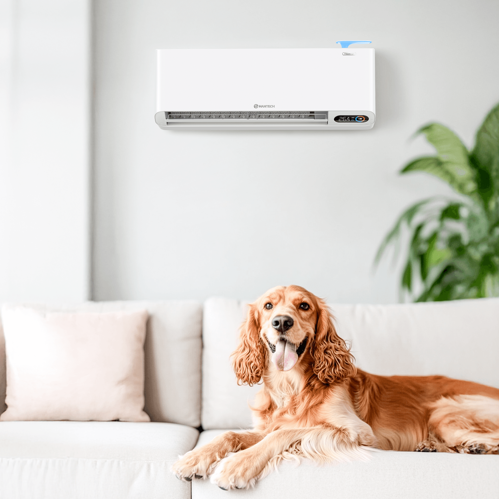 Durchdachte Klimatechnik für höchste Ansprüche image